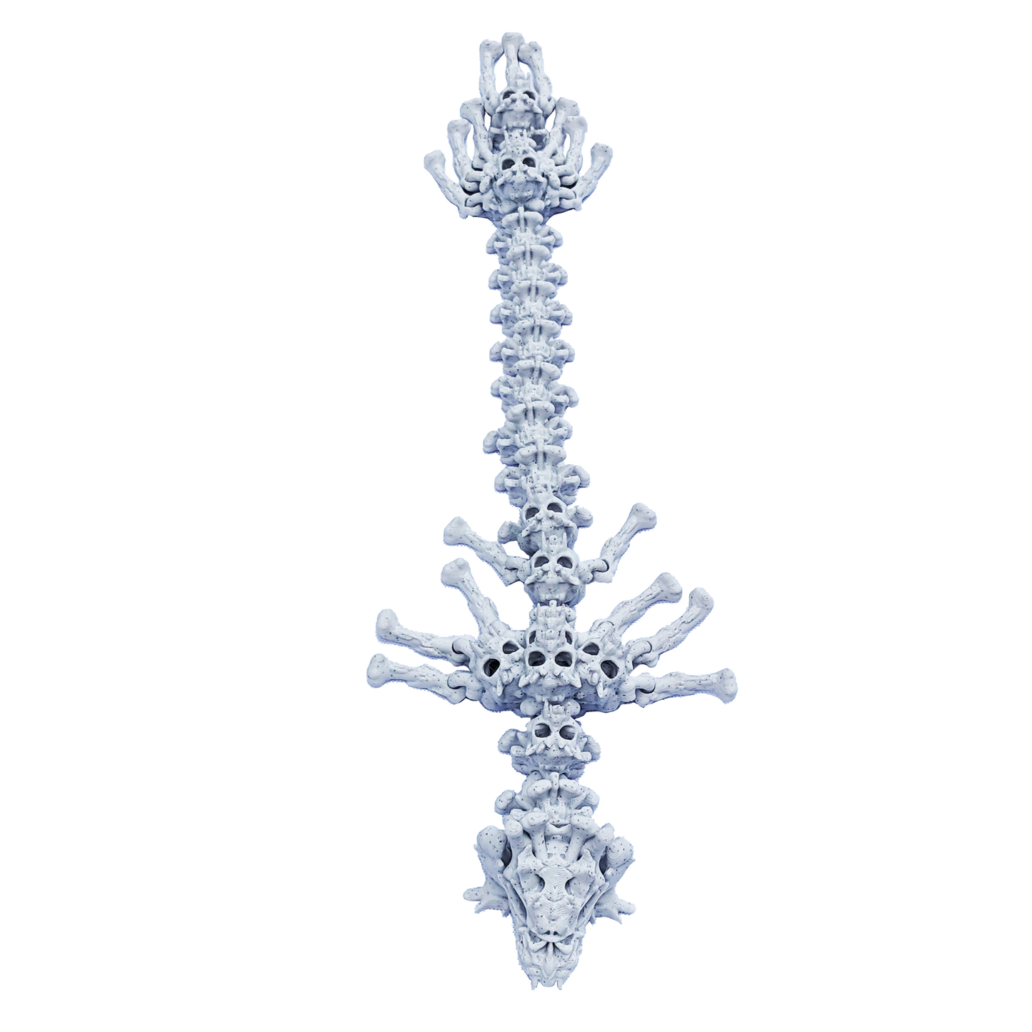 MISS PRINTED-3D Printed Articulated Dragons- ADULT SKELETON DRAGON